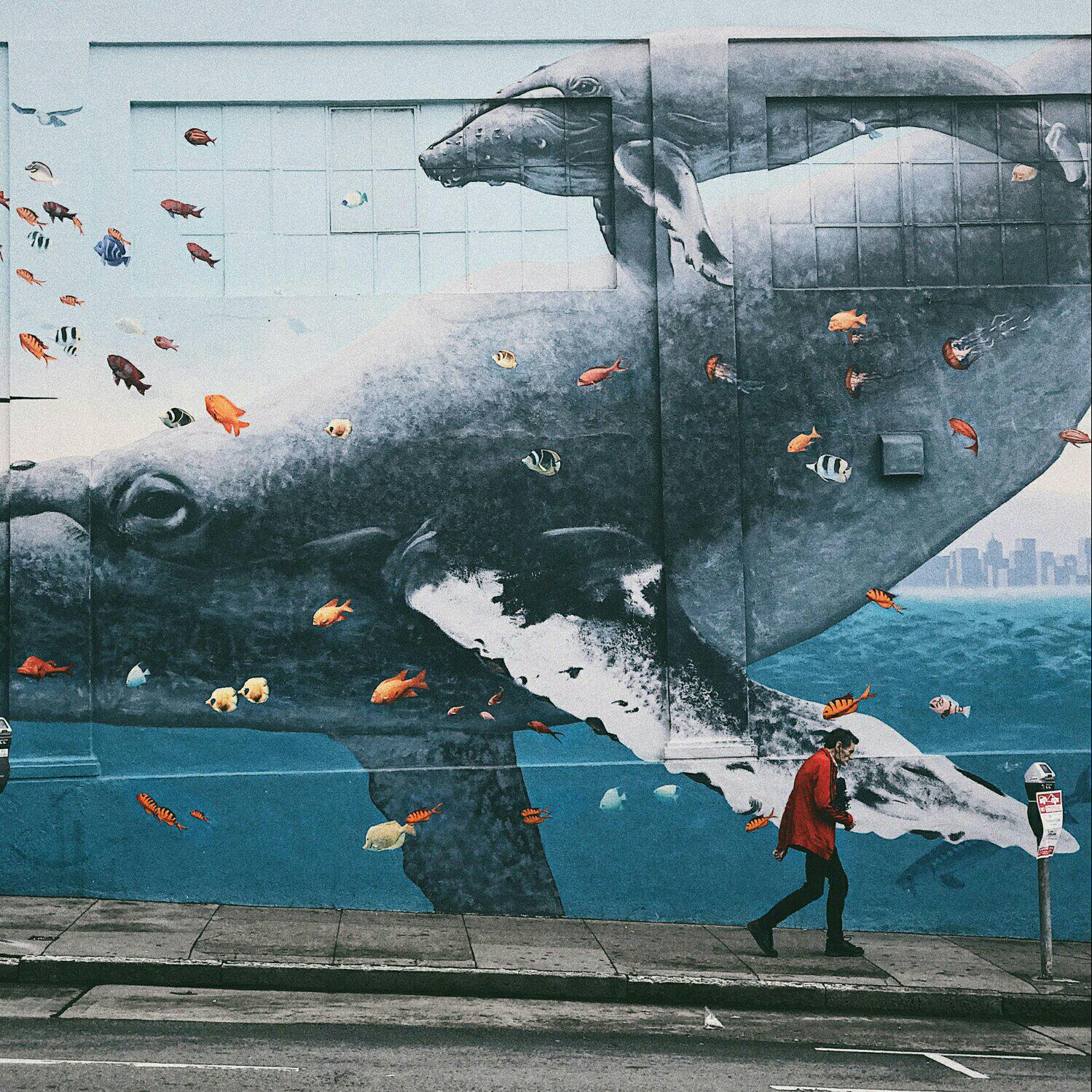 Боевой кит