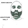 Amir Beats - She Got An Attitude