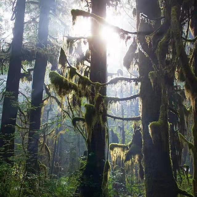 保熟*EST Gee*Lil Durk Type Beat