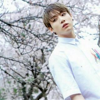 韩语Inst - 比歌声更动人的柔情纯乐