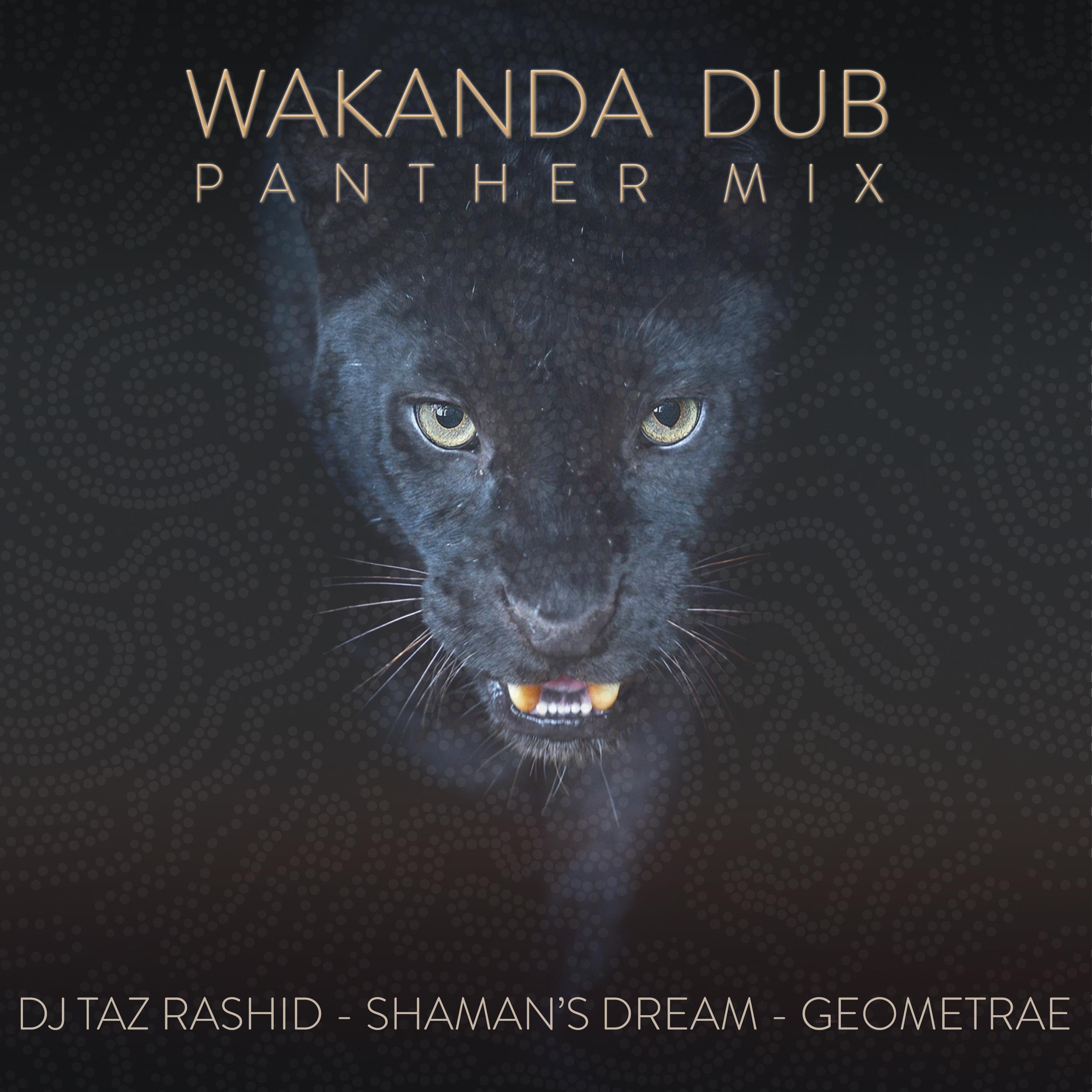 Wakanda Dub (Panther Mix)