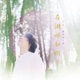 在湖畔和树下