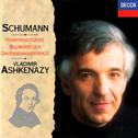 Schumann: Phantasiestucke / Blumenstuck / Davidsbundlertanze专辑