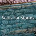 Souls For Storms专辑