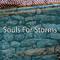 Souls For Storms专辑