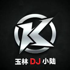 玉林dj小陆