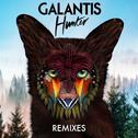 Hunter (Remixes)专辑