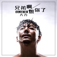 兄弟啊想你了(DJ新版)