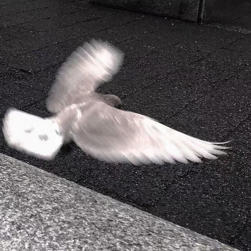 沒有妳的冬天