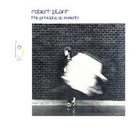 Robert Plant - In The Mood ( Karaoke )