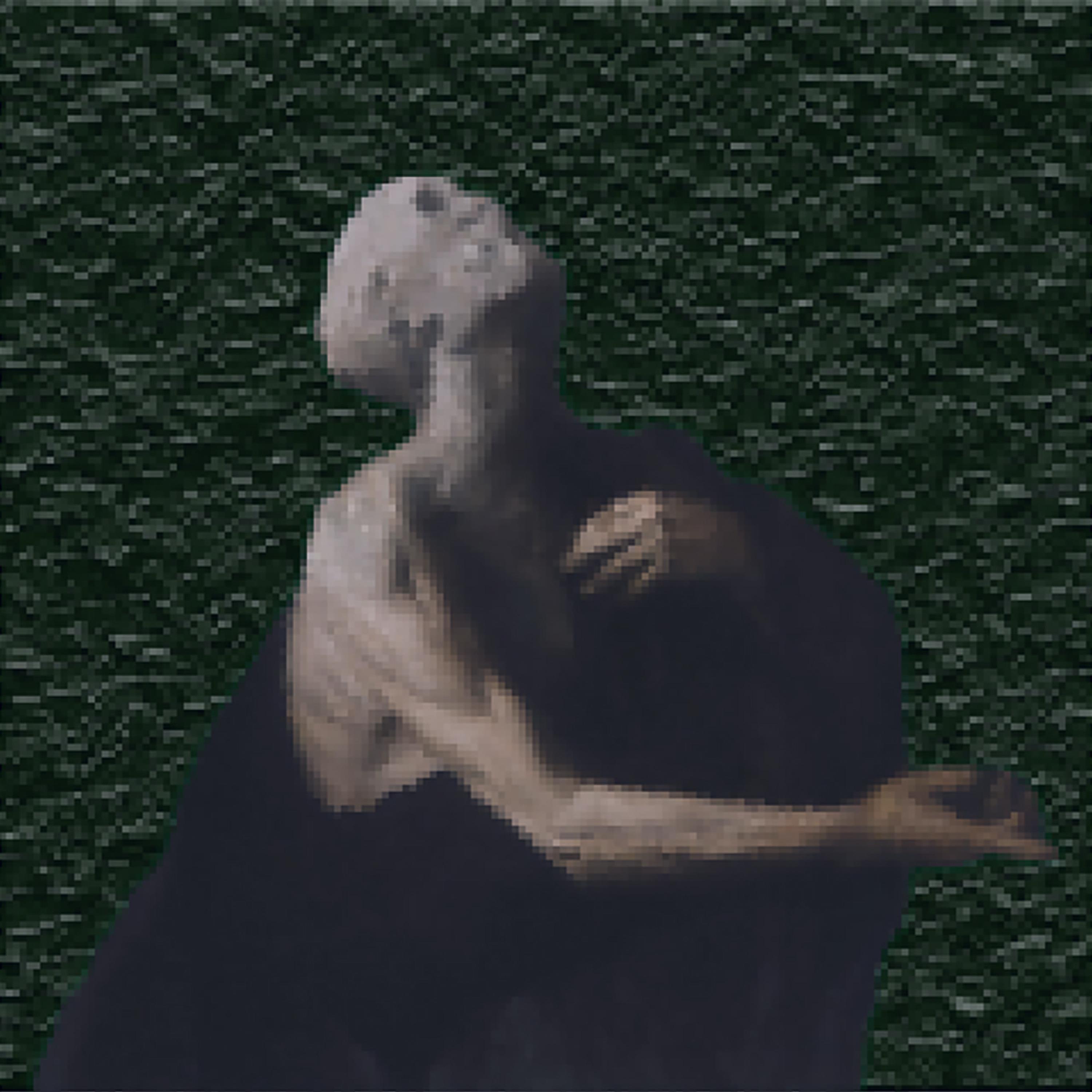 the awakening