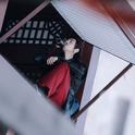 『古风』我自问酒不问仙 半世逍遥半世癫