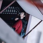 『古风』我自问酒不问仙 半世逍遥半世癫