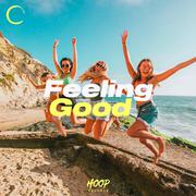 Feeling Good : The Best Music to Feel so Good by Hoop Records