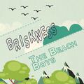 Briskness