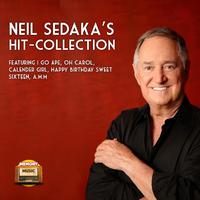 Neil Sedaka - One Way Ticket ( Karaoke )