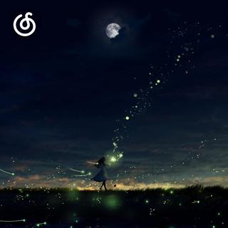 流行轻音乐精选|从《夜、萤火虫和你》听起