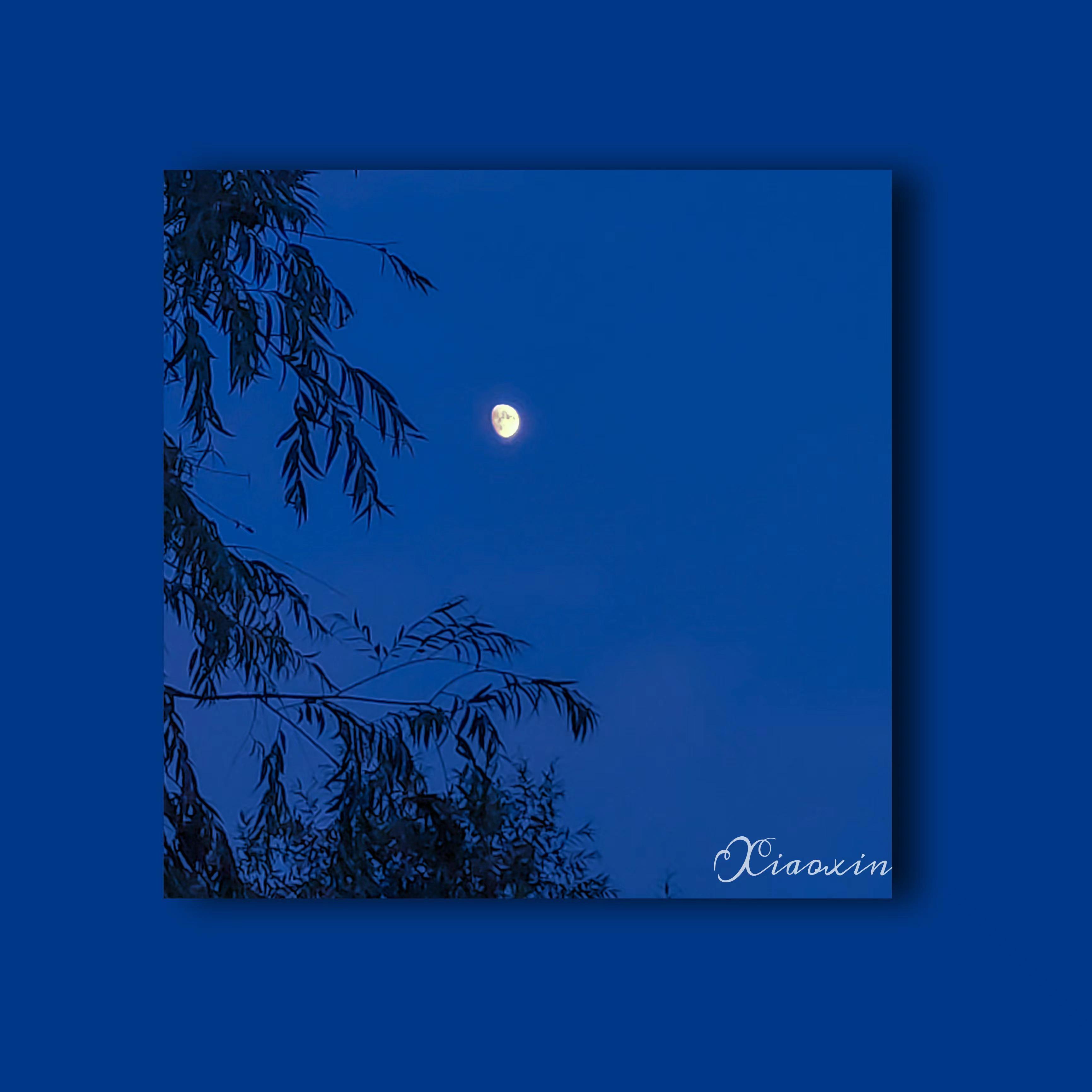 起风了（0.8X remix）