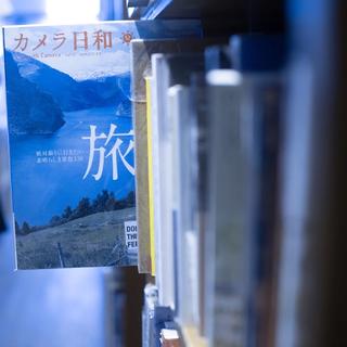 全是壁纸啊小鱼歌单