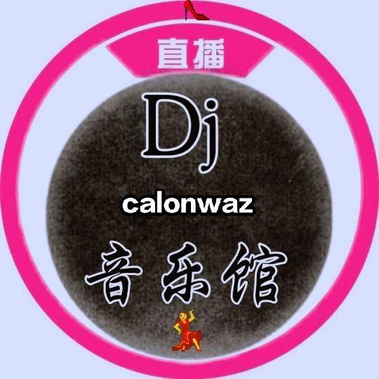 ★｜calonwaz 喜欢 DJ