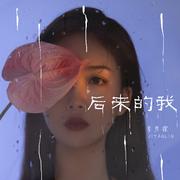 后来的我 (DJ版)