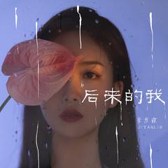 后来的我 (DJ版)