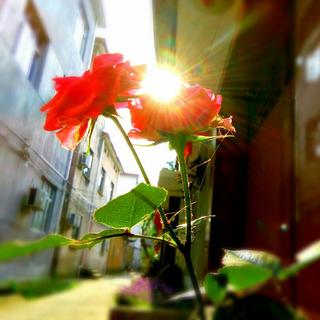 [电音&人声]洗脑神曲：震撼的电音人声！