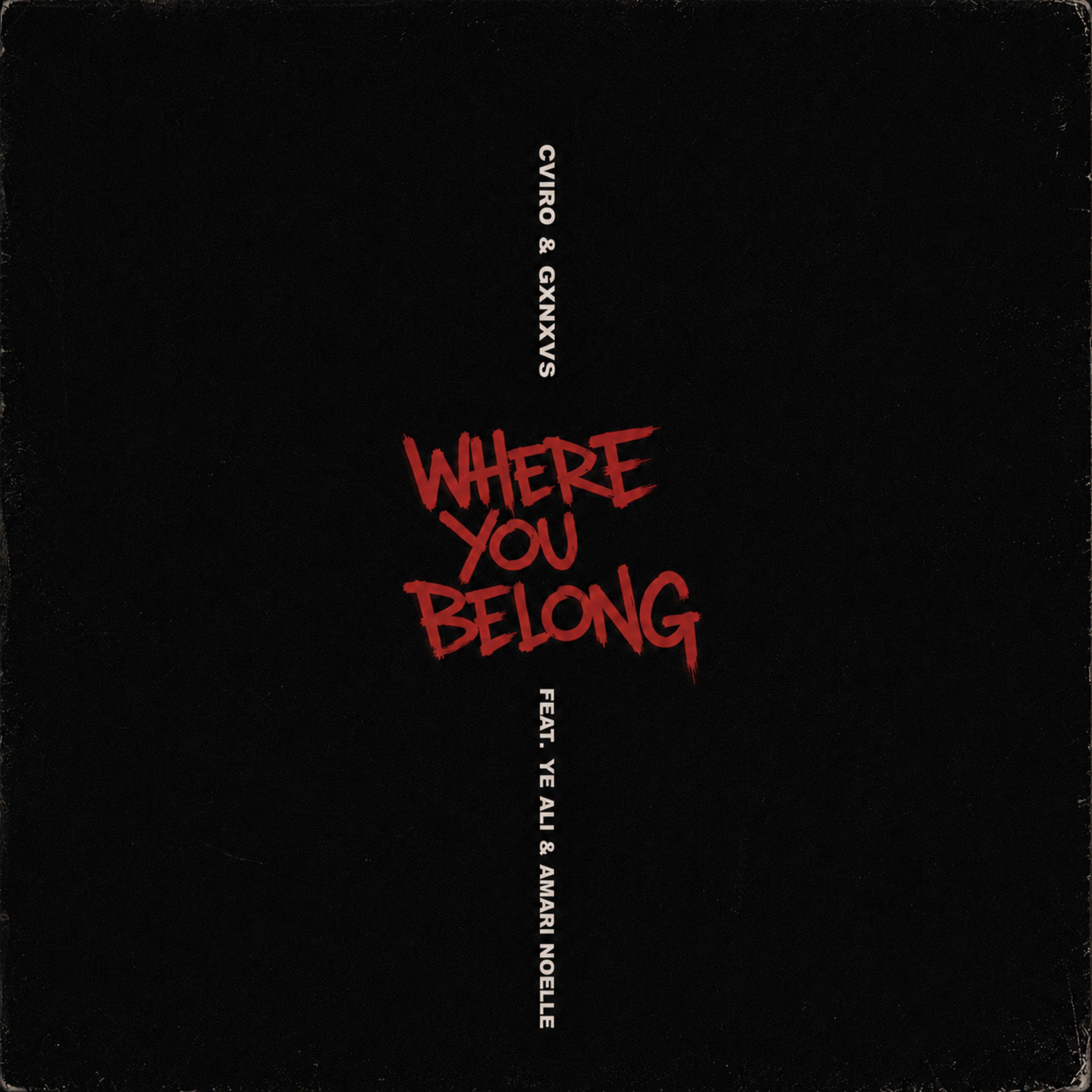 Where You Belong