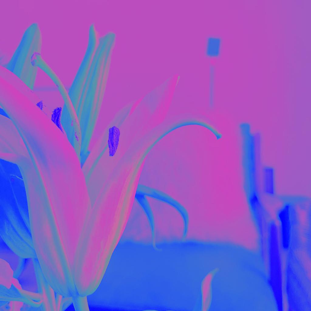 一枚80后听过的那些中文老歌