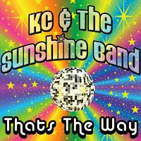 K.C.  The Sunshine Band - That\'s The Way I Like It ( Karaoke )