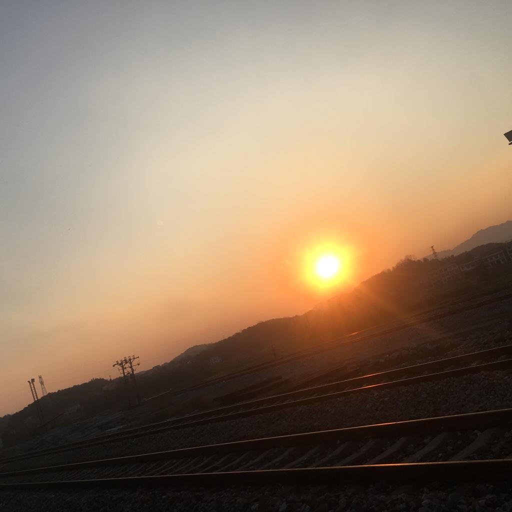 橘子先生的远方