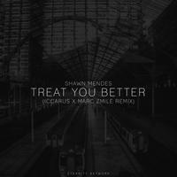 Shawn Mendes & Marc Zmile - Treat You Better
