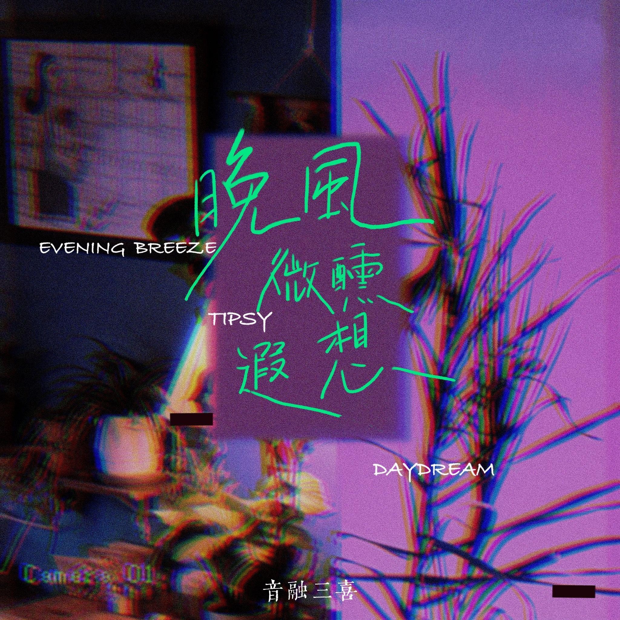 晚风微醺遐想（DJ版）