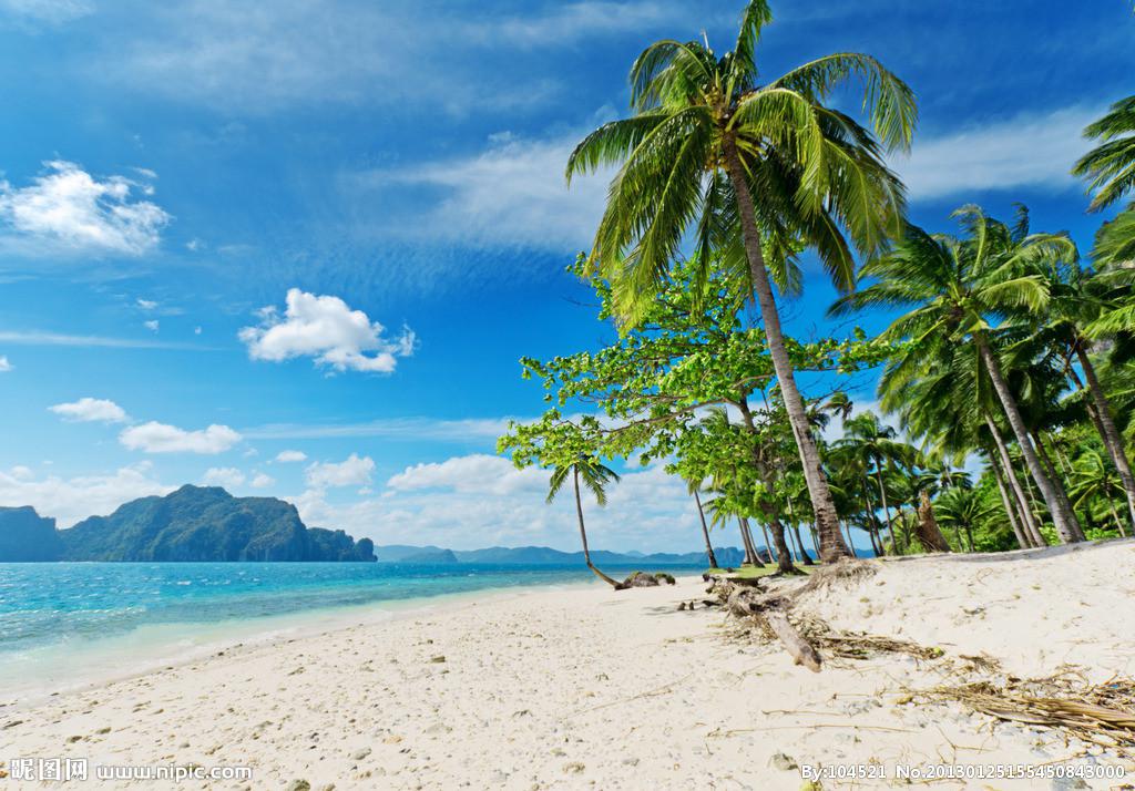TROPICAL HOUSE