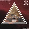 Peace Seeker (Remixes)