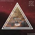 Peace Seeker (Remixes)专辑