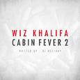 Cabin Fever 2