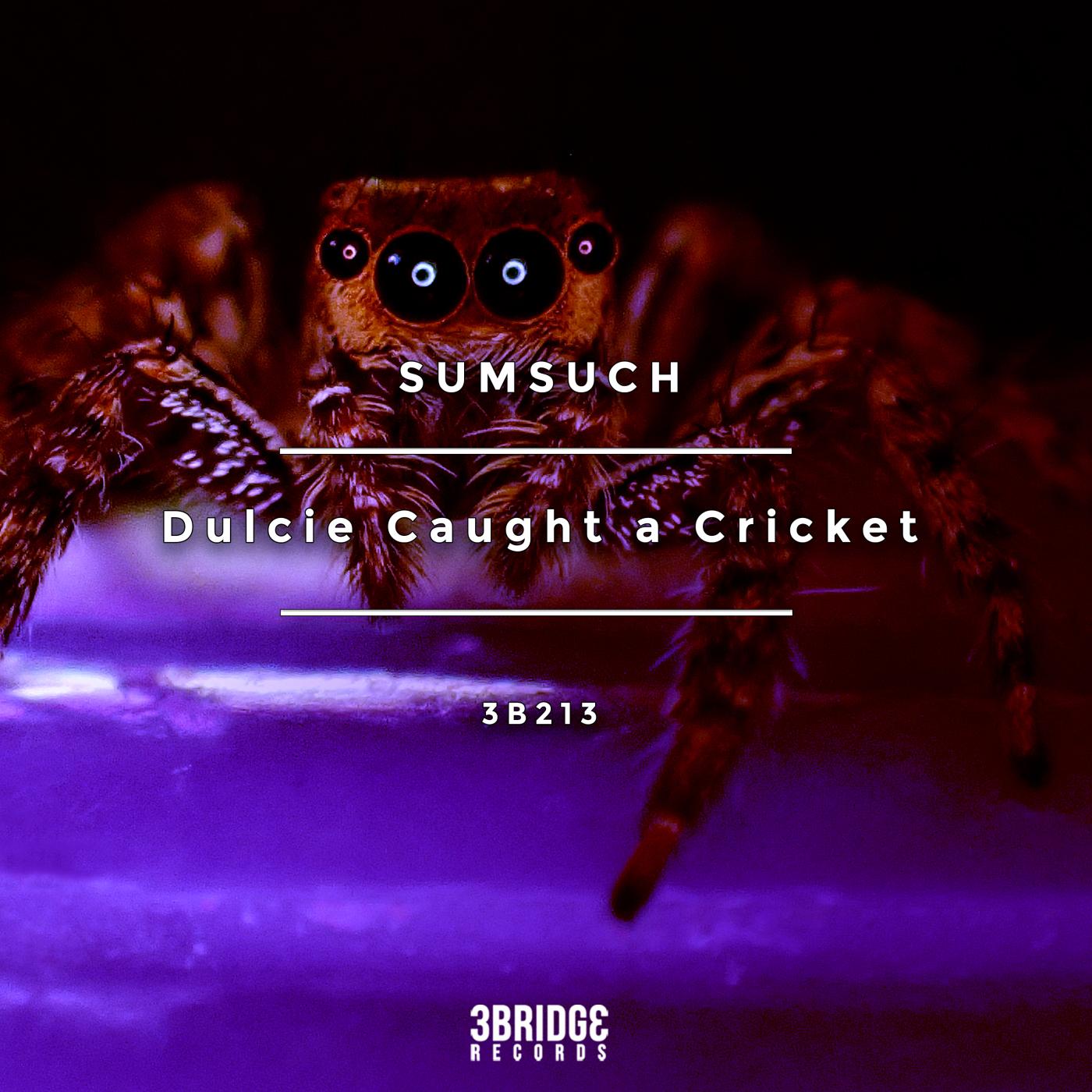 Dulcie Caught a Cricket