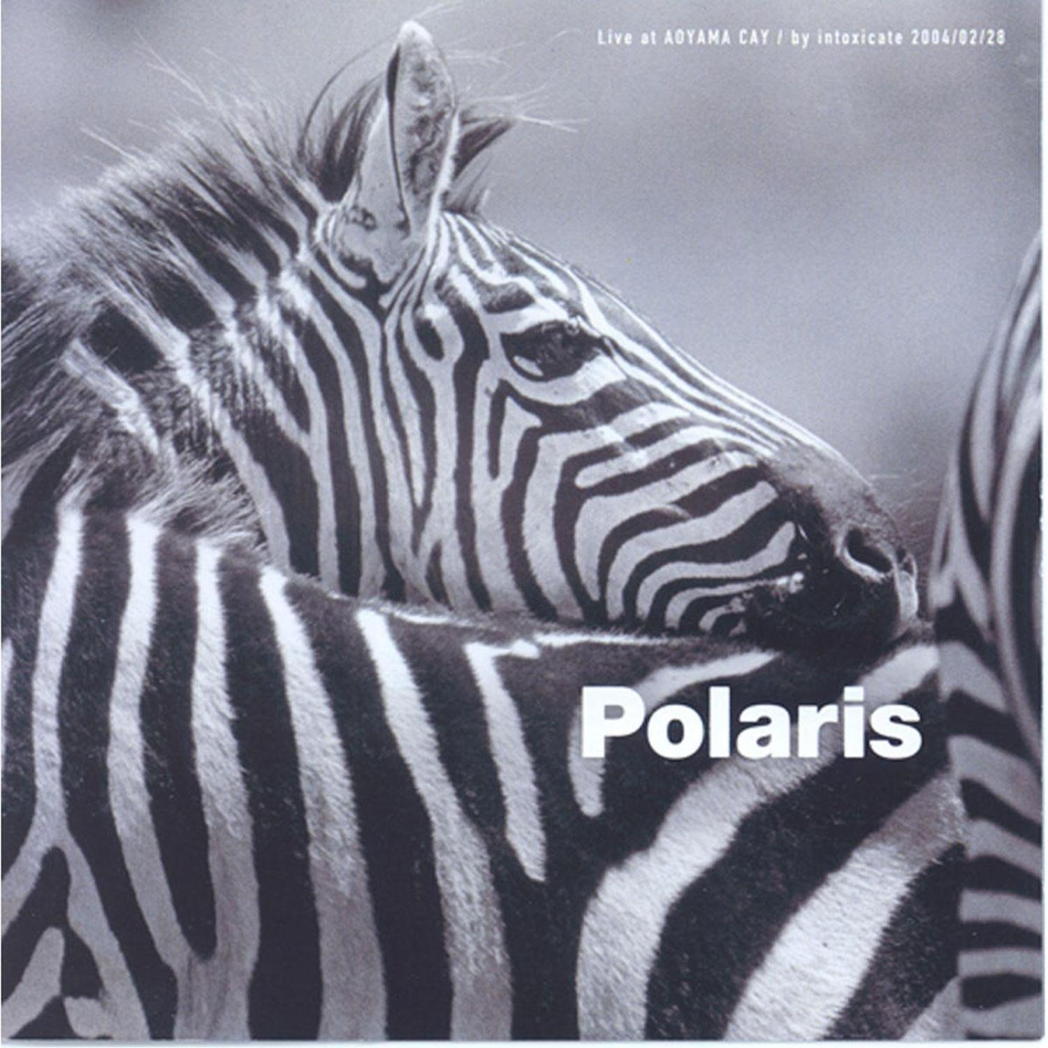 Live at AOYAMA CAY / by intoxicate 2004/02/28