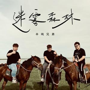 半吨兄弟 - 迷雾森林(原版立体声伴奏) （降5半音）