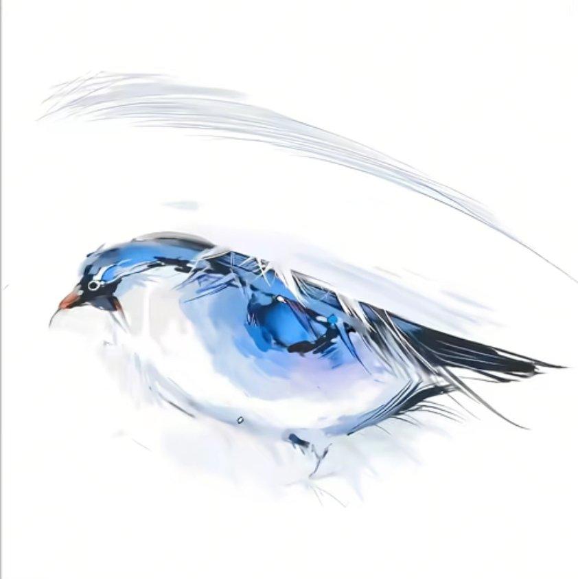 我也开始好奇你怀里的温度