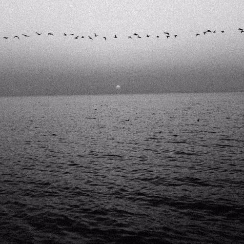 Ecstasy (MYSTXRIVL x SOKOS FLIP)