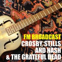 Crosby Stills And Nash - Long Time Gone ( Karaoke )