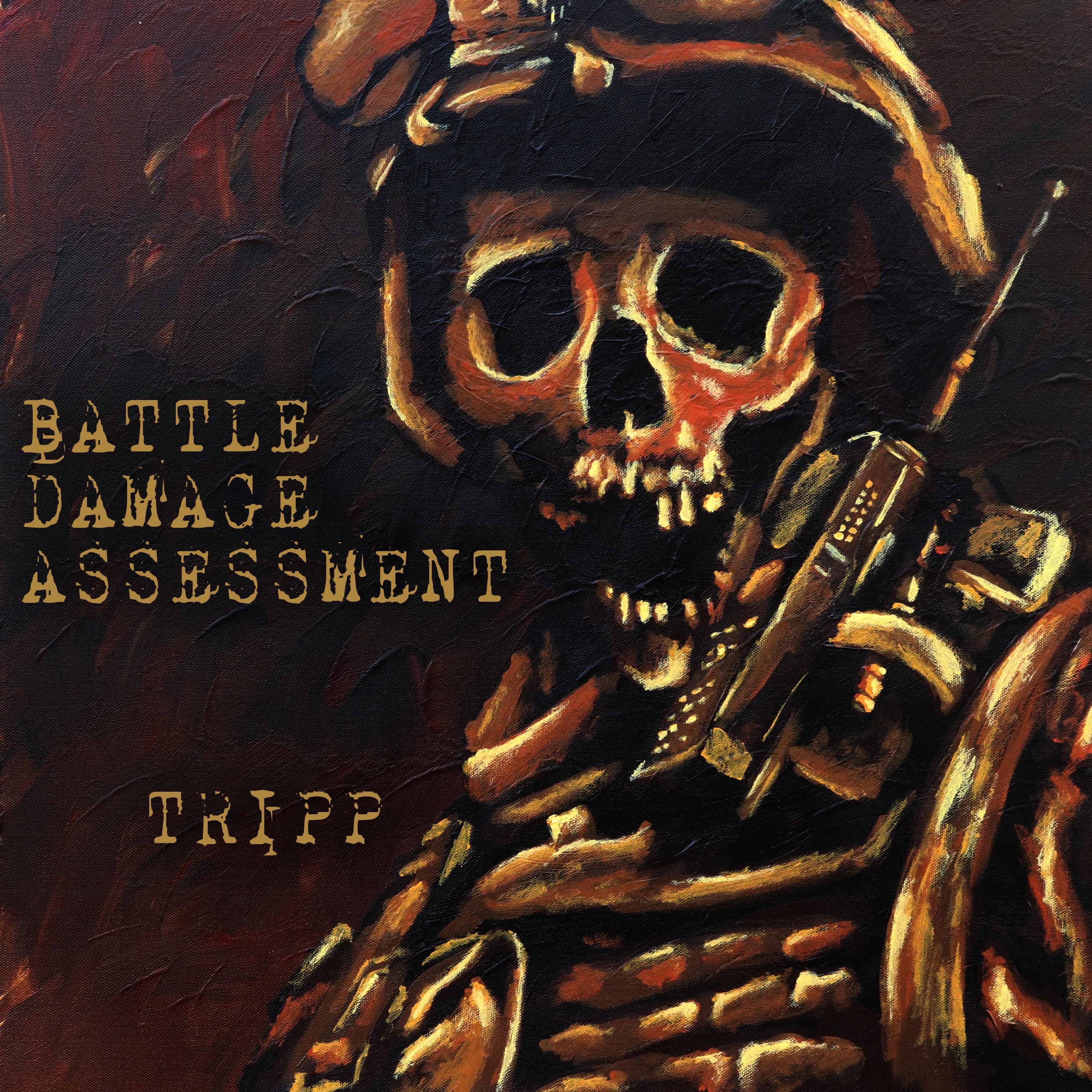 Battle Damage Assessment