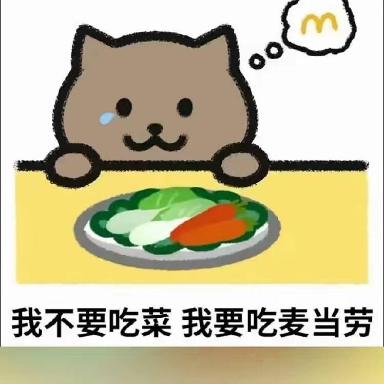 琰琰 - 胖猫再见