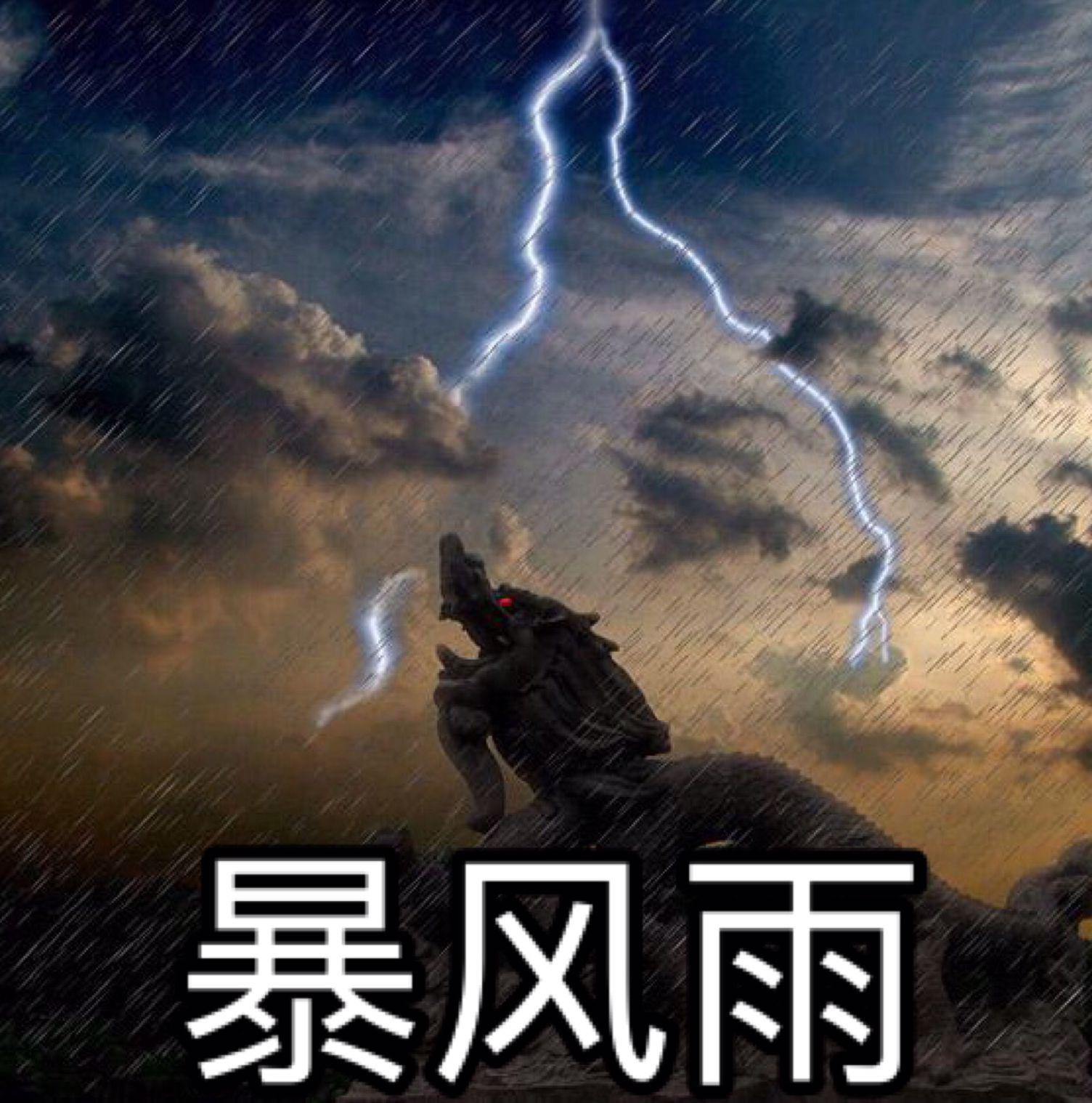 暴风雨REMIX专辑