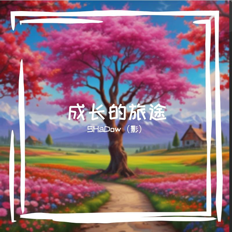 成长的旅途
