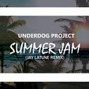 Summer Jam(Jay Latune Remix)专辑