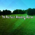 74 Perfect Reading Auras