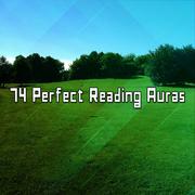 74 Perfect Reading Auras